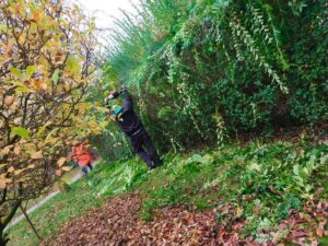 Referenz-Hecke-zuschneiden-und-entsorgen.jpg